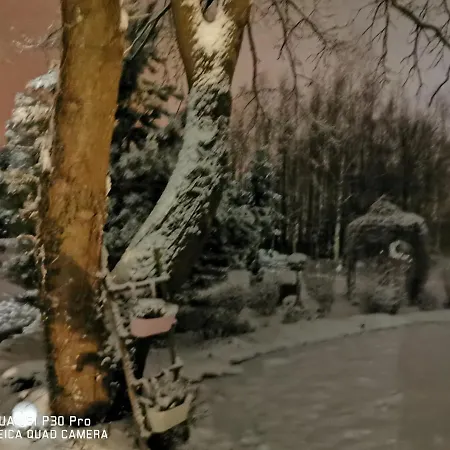Dworek Nad Stawem *